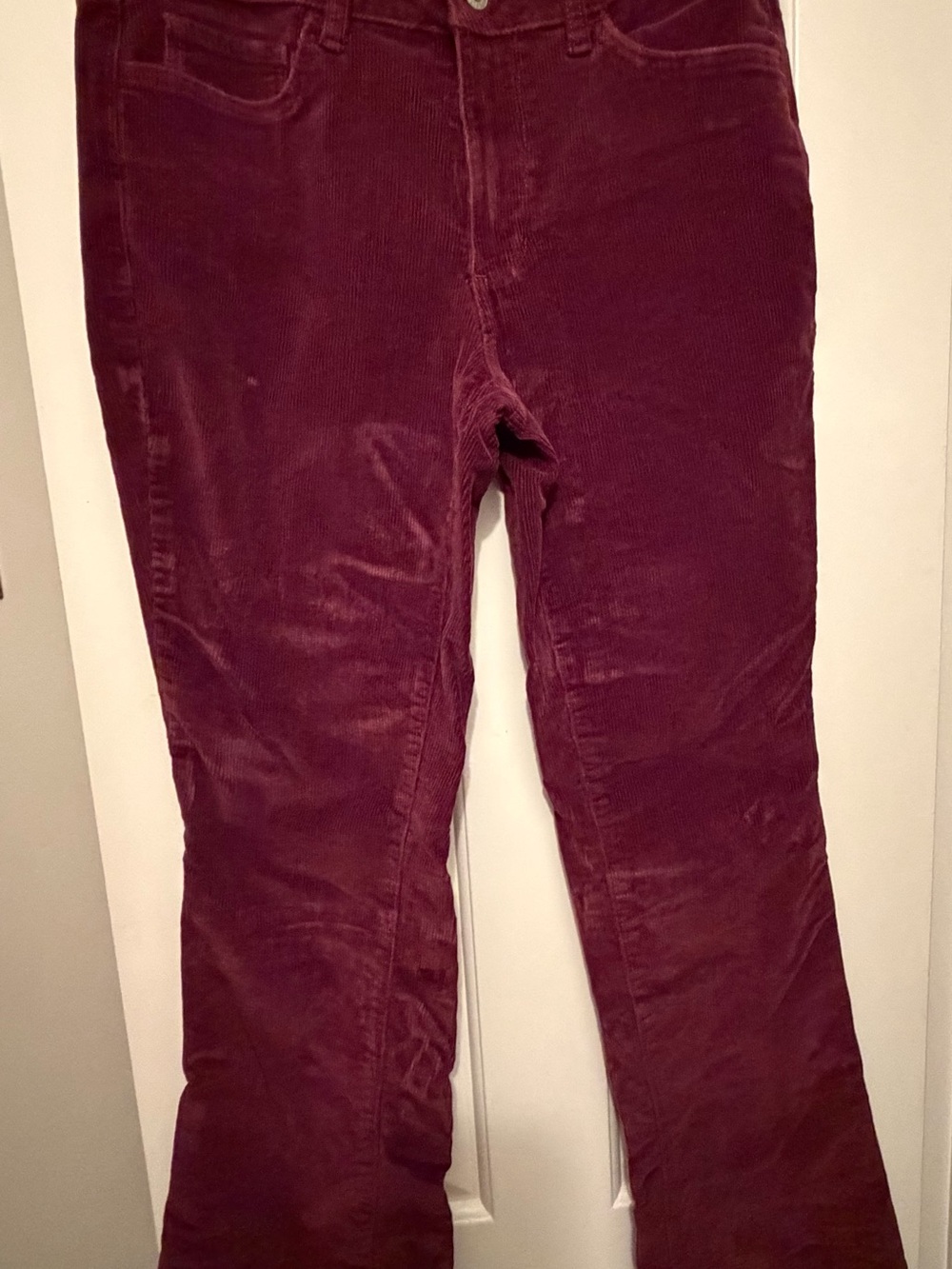 Sonoma Womens Corduroy Pants in Purple